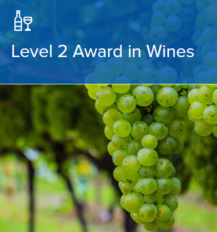 【24年度5月開講】 WSET®Level 2 Award in Wines