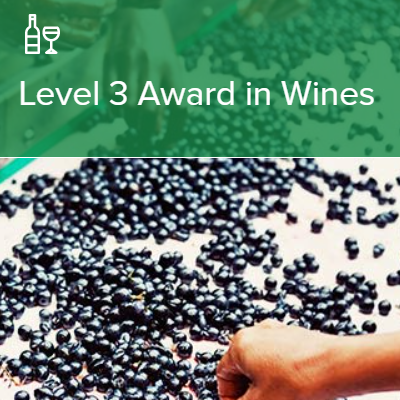 【24年度6月開講】 WSET®Level 3 Award in Wines