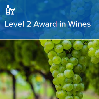 【23年度6月開講】 WSET®Level 2 Award in Wines