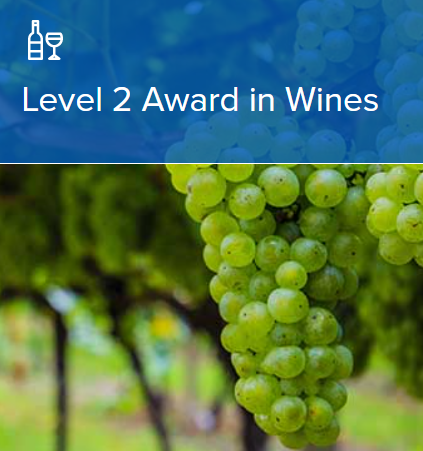 【24年度11月開講】 WSET®Level 2 Award in Wines