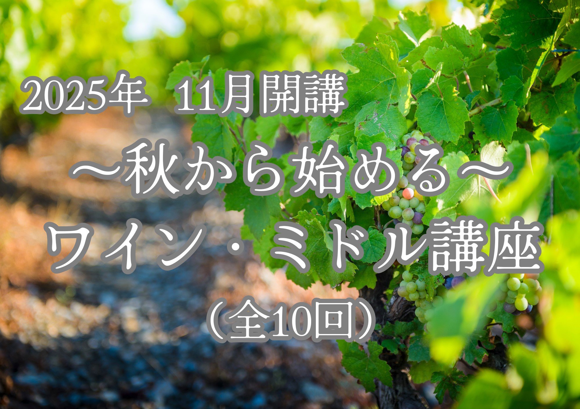 2025 秋からはじめる ワイン・ミドル講座（全10回）