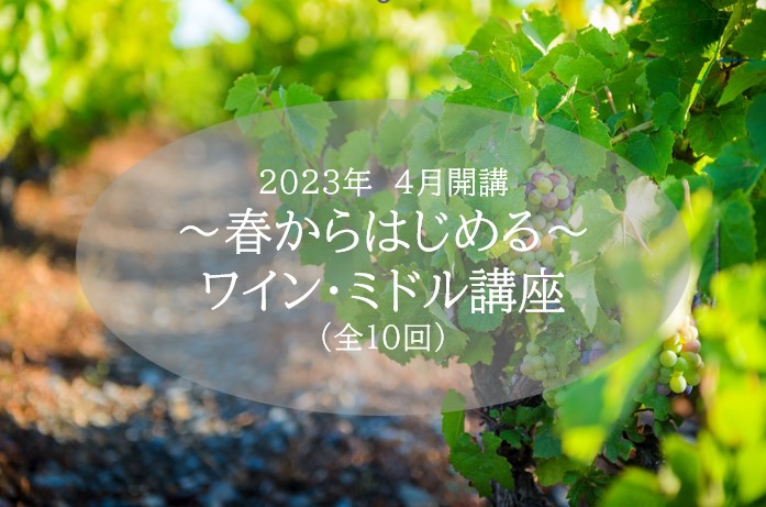 2023 春からはじめる ワイン・ミドル講座（全10回）