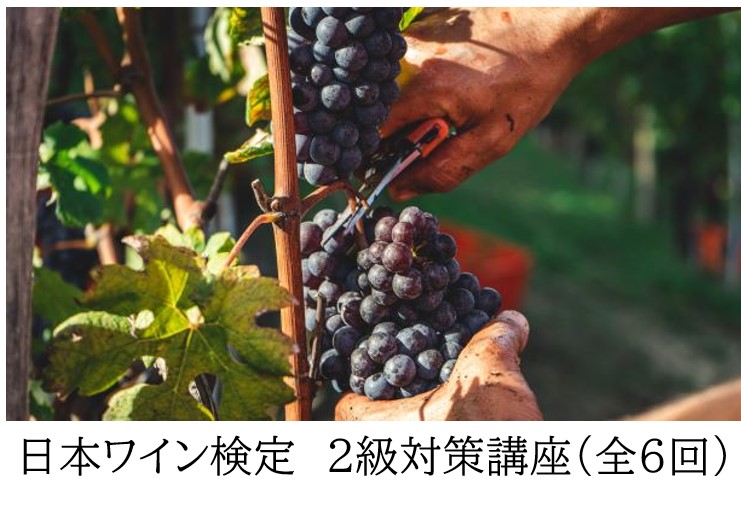 2024　日本ワイン検定　2級対策講座（3級認定付）