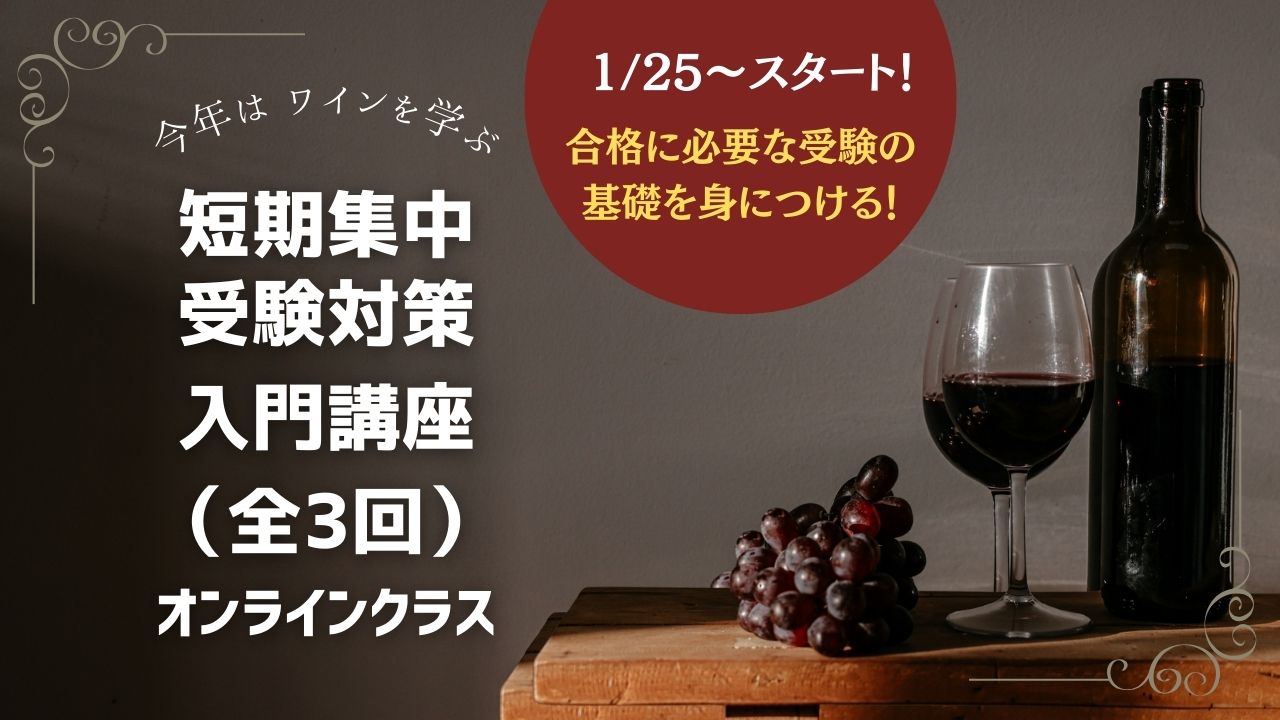 【短期集中オンライン】2026年度　ソムリエ・ワインエキスパート受験対策入門講座（全3回）