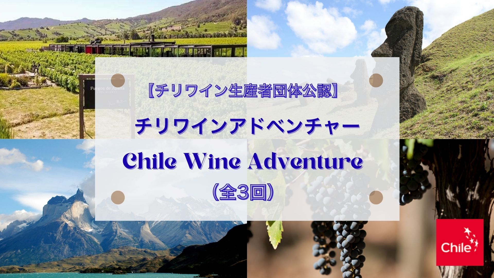 2025 チリワイン生産者団体公認　『チリワインアドベンチャー（全3回）』