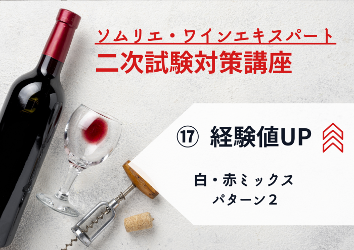 2024年度　ワイン二次⑰【経験値UP！】白・赤MIX　パターン②　ワイン6種