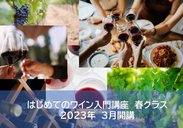 2023年 　春ワイン入門講座（全3回）