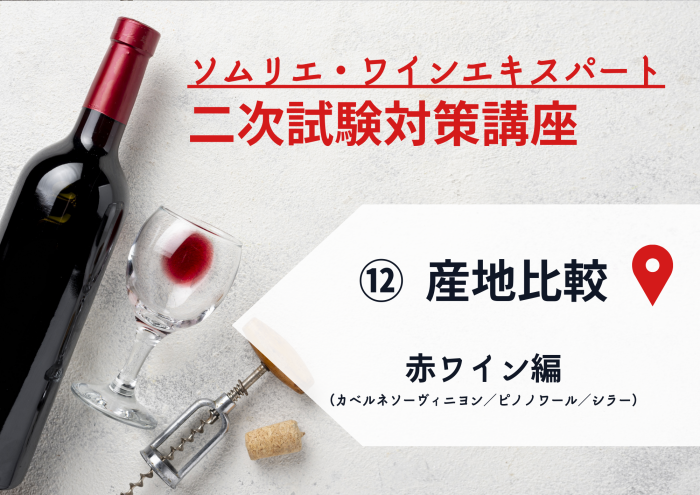 22ワイン二次⑫【産地比較】赤ワイン編（カベルネソーヴィニヨン/ピノノワール/シラー）
