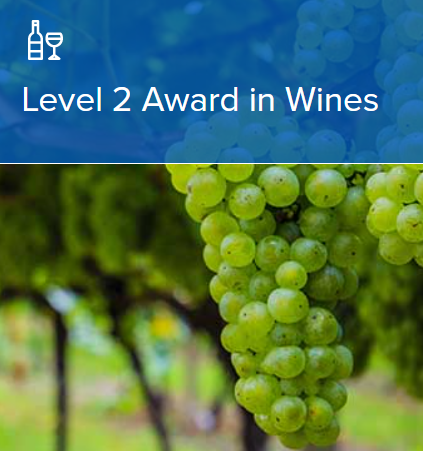 【25年度11月開講】WSET®Level 2 Award in Wines