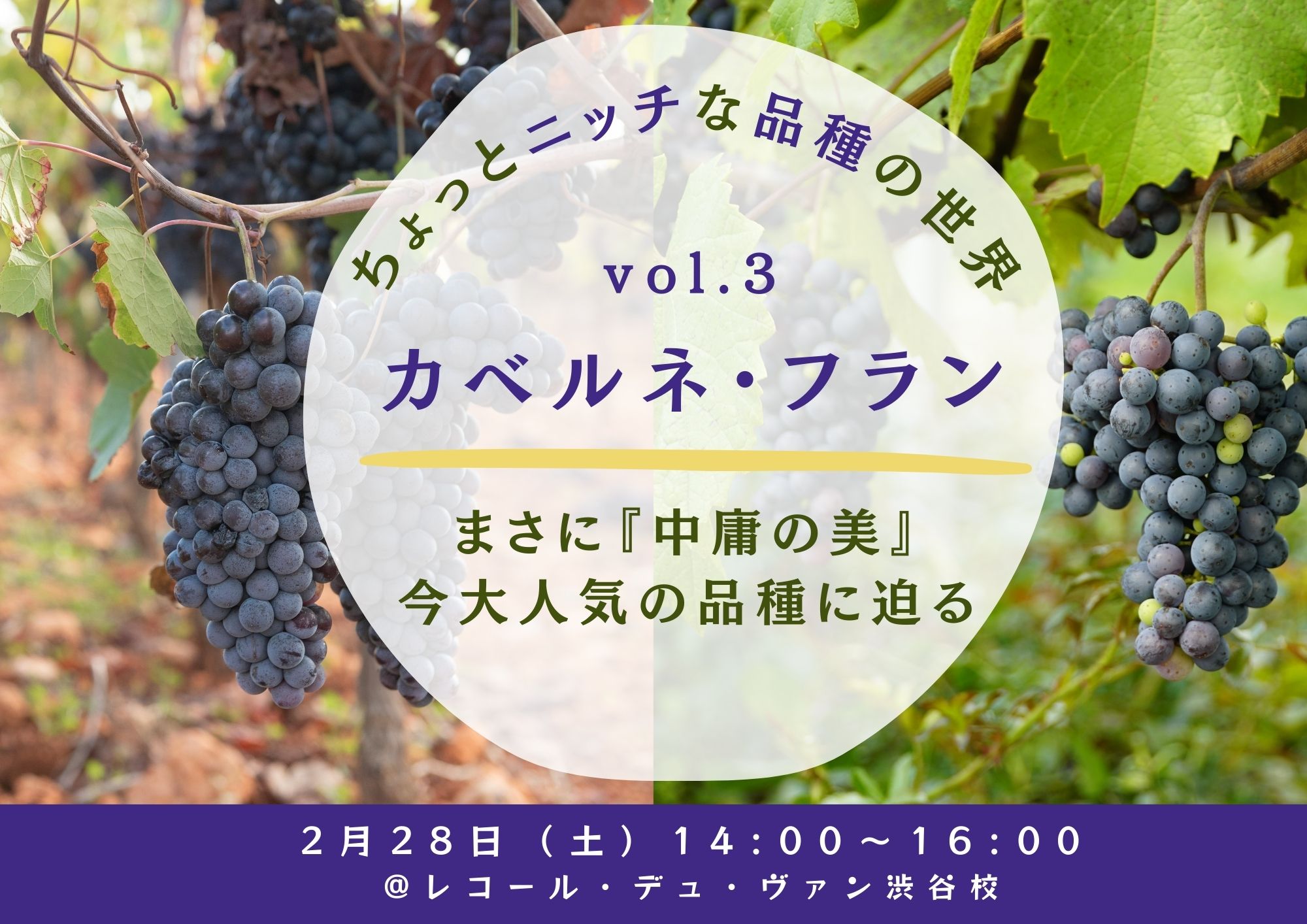 ちょっとニッチな品種の世界 vol.3　『カベルネ・フラン』 ～まさに "中庸の美" 今大人気の品種に迫る～