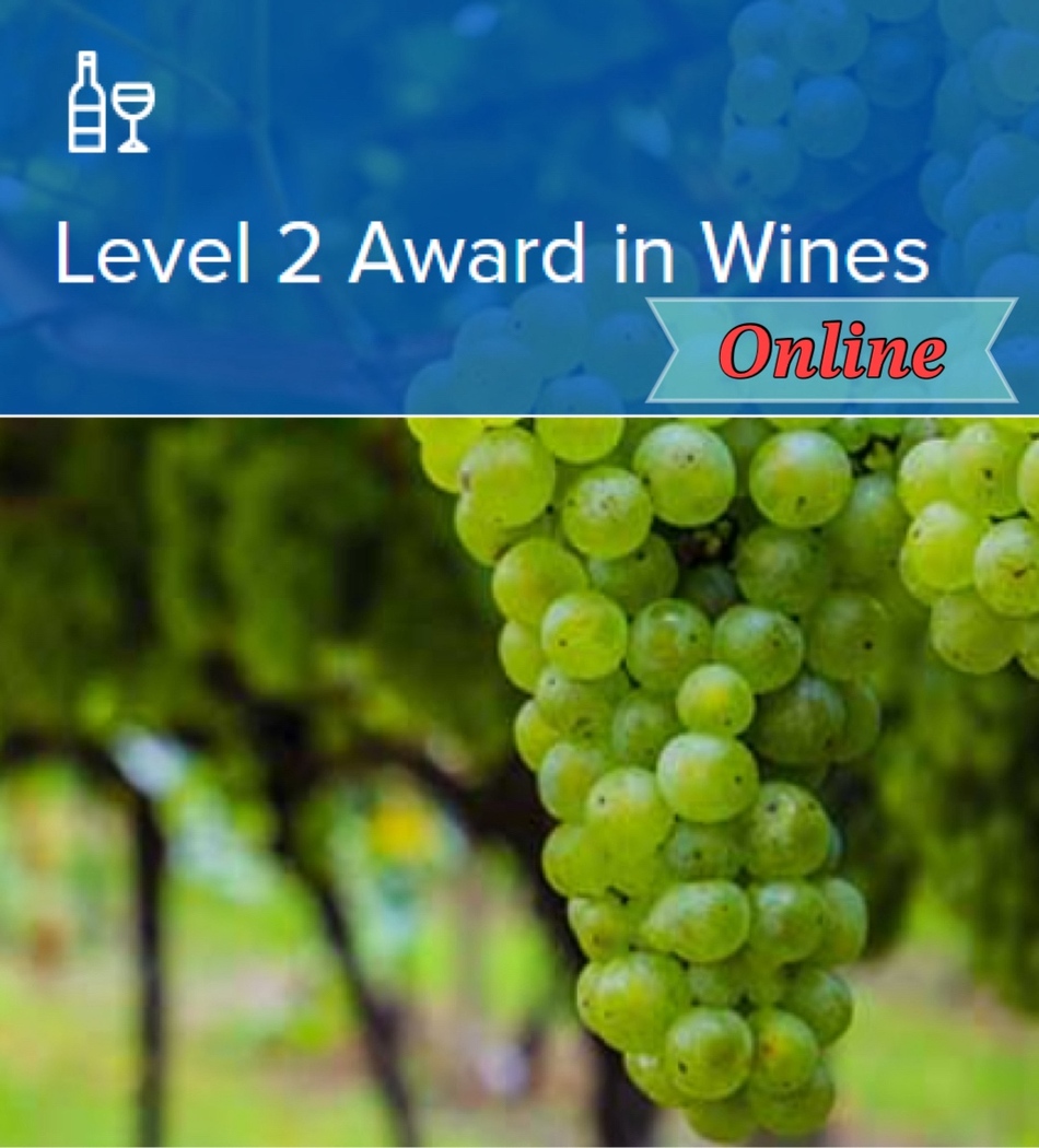 【26年2/28(土)開講】WSET®Level 2 Award in Wines オンライン