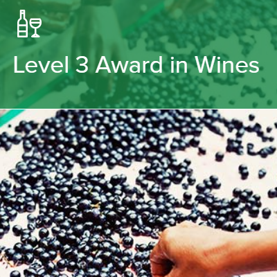 【26年4月開講】WSET®Level 3 Award in Wines