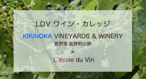 「LDV ワインカレッジ」 KIRINOKA VINEYARDS & WINERY × L’école du Vin ③